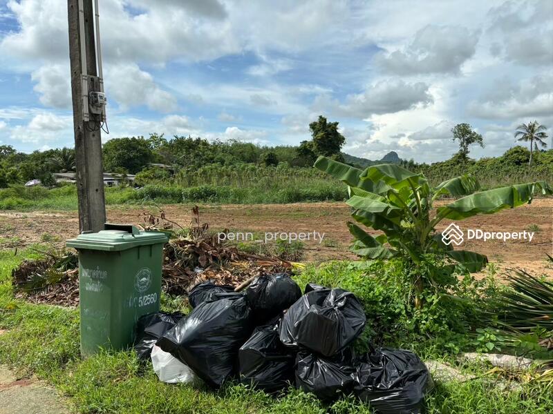 ขายที่ดิน ศักยภาพสูง 7 ไร่ 35 ตรว บางเสร่ สัตหีบ, ชลบุรี, บางเสร่, สัตหีบ, ชลบุรี, 11,340 ตร.ม., ที่ดิน ขาย, โดย penn_property, 11383181 - DDproperty.com