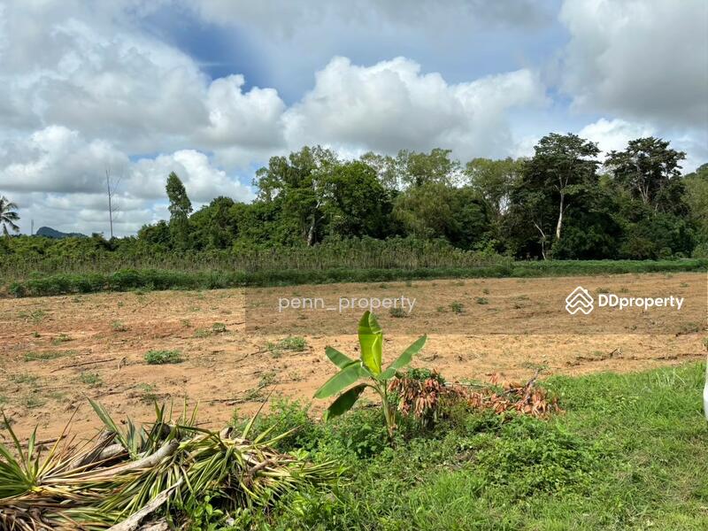 ขายที่ดิน ศักยภาพสูง 7 ไร่ 35 ตรว บางเสร่ สัตหีบ, ชลบุรี, บางเสร่, สัตหีบ, ชลบุรี, 11,340 ตร.ม., ที่ดิน ขาย, โดย penn_property, 11383181 - DDproperty.com