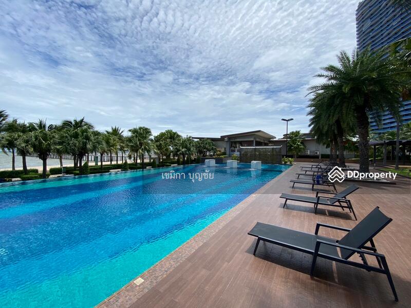 Casalunar Paradiso : คาซาลูน่า พาราดิโซ, ชลบุรี, ถนนสุขุมวิท, แสนสุข, เมืองชลบุรี, ชลบุรี, 95 ตร.ม., คอนโด ขาย, โดย เขมิกา บุญชัย, 11383450 - DDproperty.com