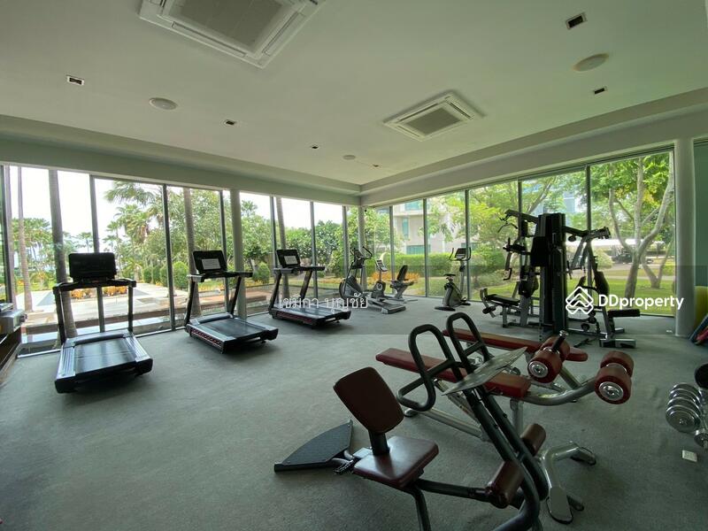 Casalunar Paradiso : คาซาลูน่า พาราดิโซ, ชลบุรี, ถนนสุขุมวิท, แสนสุข, เมืองชลบุรี, ชลบุรี, 95 ตร.ม., คอนโด ขาย, โดย เขมิกา บุญชัย, 11383450 - DDproperty.com