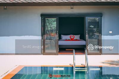 ขาย - บ้านภูเก็ต 4 หลัง สระว่ายน้ำ 3 สระ เนื้อที่ 2 ไร่ ฉลอง เมืองภูเก็ต ภูเก็ต, ภูเก็ต