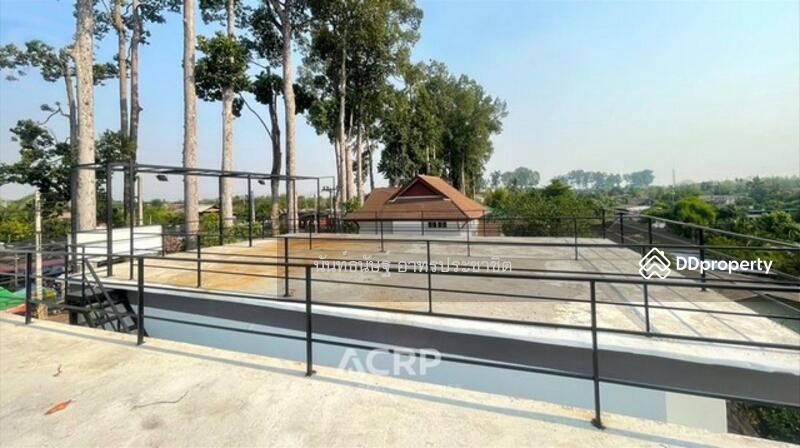 ขาย - ตึกแถวอำเภอสารภี ติดถนนเชียงใหม่-ลำพูน, เชียงใหม่