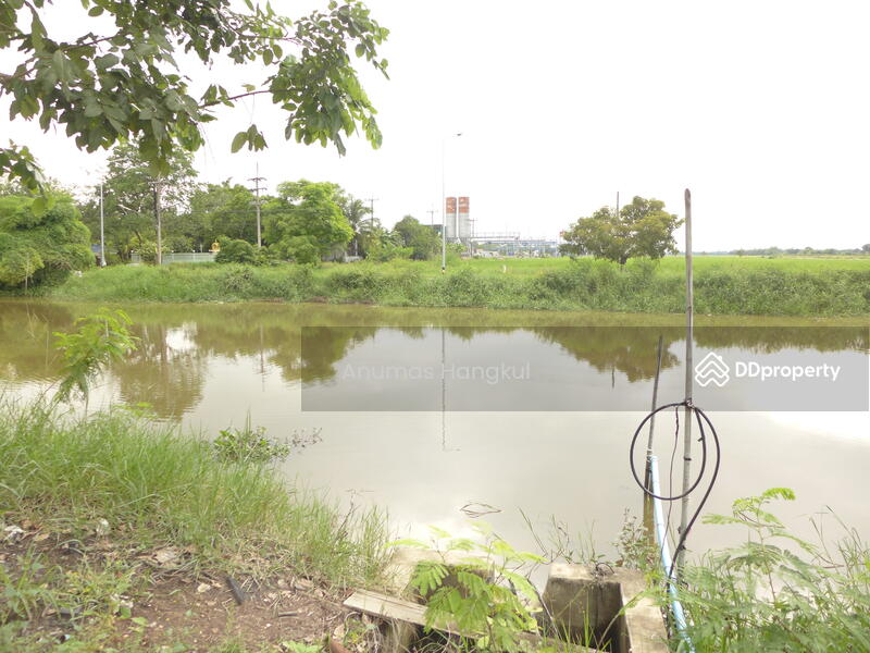 ที่ดิน 60 ไร่ คลอง 12 หนองเสือ, ปทุมธานี, หนองสามวัง, หนองเสือ, ปทุมธานี, 96,096 ตร.ม., ที่ดิน ขาย, โดย Anumas Hangkul, 11386962 - DDproperty.com