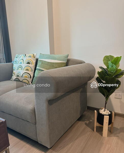 Aspire Ratchayothin : แอสปาย รัชโยธิน, กรุงเทพ, 42 Phahon Yothin Rd, ลาดยาว, จตุจักร, กรุงเทพ, 29 ตร.ม., คอนโด ให้เช่า, โดย Living Condo, 11387121 - DDproperty.com