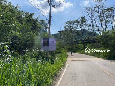 ขาย - ขายด่วน ที่ดินปากช่อง 4 แปลง รวม 21-3-75 ไร่ อยู่บนเนินเขา ติดถนนกว้าง 6 เมตร ที่สวยและถูก, นครราชสีมา