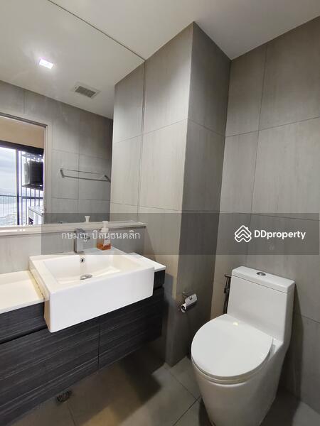 The Politan Rive : เดอะ โพลิแทน รีฟ, นนทบุรี, ซอยนนทบุรี 15, บางกระสอ, เมืองนนทบุรี, นนทบุรี, 25 ตร.ม., คอนโด ให้เช่า, โดย Cat Real Estate (Thailand) Co., Ltd., 11389047 - DDproperty.com