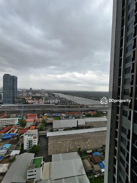The Politan Rive : เดอะ โพลิแทน รีฟ, นนทบุรี, ซอยนนทบุรี 15, บางกระสอ, เมืองนนทบุรี, นนทบุรี, 25 ตร.ม., คอนโด ให้เช่า, โดย Cat Real Estate (Thailand) Co., Ltd., 11389047 - DDproperty.com
