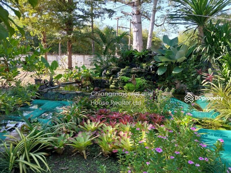 หมู่บ้าน เทียมพร, เชียงใหม่, ป่าตัน, เมืองเชียงใหม่, เชียงใหม่, 120 ตร.ม., ทาวน์เฮ้าส์ ให้เช่า, โดย คุณ ธีรชาติ, 11389416 - DDproperty.com