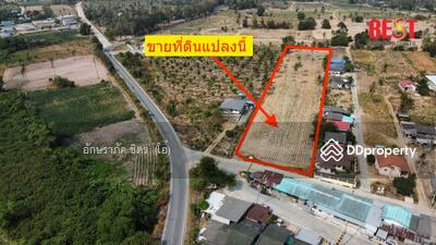 ขาย - ขายที่เปล่า ใกล้แยกหนองไก่ปล่อย หุบบอน ซอย 3 หน้ากว้างติดถนนคอนกรีต เดินทางสะดวก, ชลบุรี