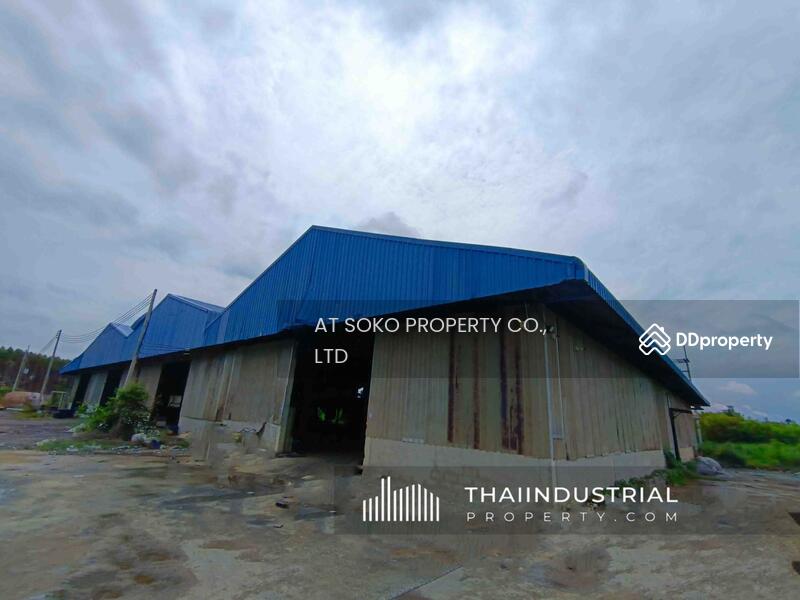 For Rent - Factory or Warehouse 2300 sqm for RENT at Na Roek, Phanat Nikhom, Chon Buri (Property ID: AT1600R), Chon Buri