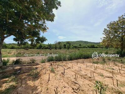 ขาย - หนองปลาไหล ตำบลหนองปลาไหล อำเภอบางละมุง จังหวัดชลบุรี, ชลบุรี