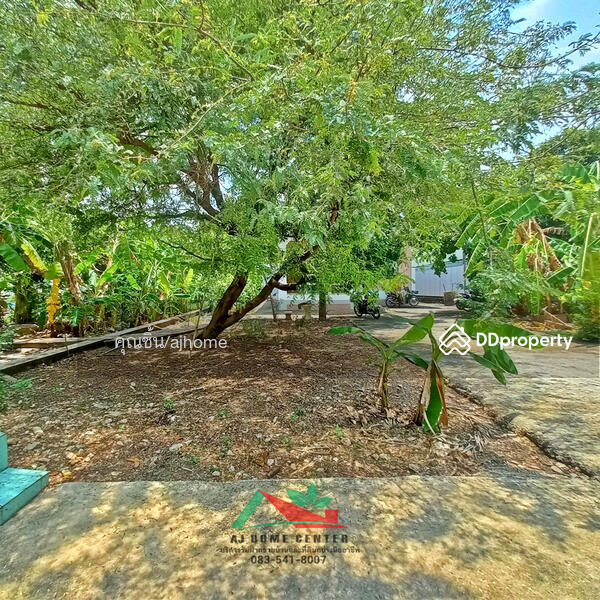 ขาย - บ้านพร้อมที่ดิน200ตรว. ถ.บางบอน4 บรรยากาศบ้านสวน หลังบ้านติดคลอง, กรุงเทพ
