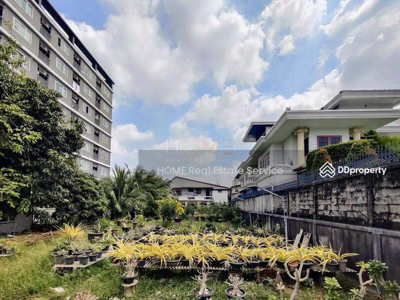 ที่ดิน สุขุมวิท 77 ซอยอ่อนนุช 14 : Land Sukhumvit 77 Soi Onnut 14, กรุงเทพ, สวนหลวง, กรุงเทพ, 836 ตร.ม., ที่ดิน ขาย, โดย HOME Real Estate Service, 11392076 - DDproperty.com
