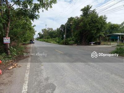 ขาย - ที่ดินถูกสุดๆ หนองเสือ ปทุมธานี, ปทุมธานี