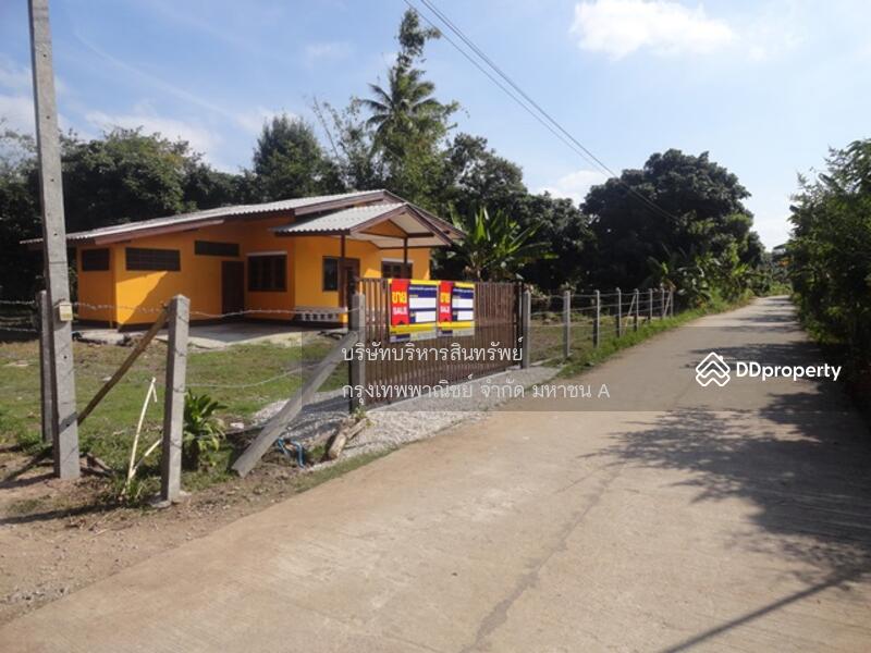 For Sale - 57120, Chiang Rai