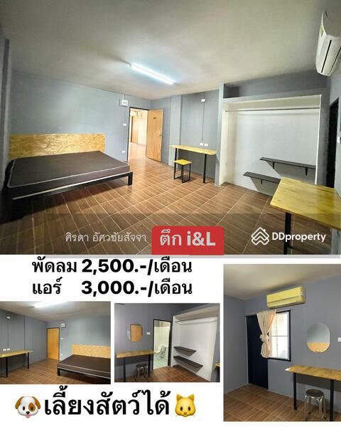 ขาย - แม่โจ้, เชียงใหม่
