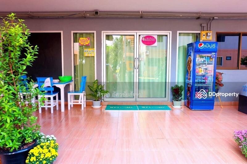 For Sale - แม่โจ้, Chiang Mai