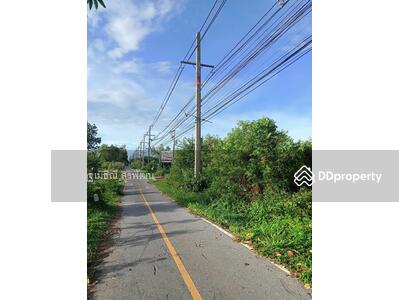 ขาย - ขายที่ดินติดถนน#เพชรเกษม หัวหิน 103#สถานีรถไฟเขาเต่า# 5-3-74.1 ไร่ เหมาะทำโครงการ Pool Villa#, ประจวบคีรีขันธ์