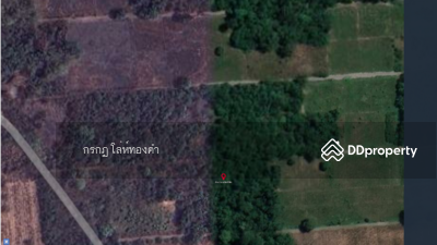 ขาย - ขายที่ดินเปล่า จำนวน 53 - 1 - 51 ไร่ ต. ท่าเคย อ. สวนผึ้ง ราชบุรี พร้อมเอกสารสิทธิ์, ราชบุรี