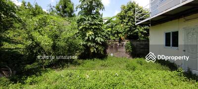 ขาย - หลังการประปามหาสวัสดิ์, นนทบุรี