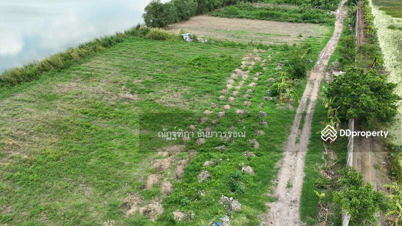 ตำบลสามวาตะวันตก อำเภอมีนบุรี กรุงเทพฯ, กรุงเทพ, มีนบุรี, มีนบุรี, กรุงเทพ, 484,524 ตร.ม., ที่ดิน ขาย, โดย ณัฏฐ์ฑิภา ธันยาวรรธณ์, 11397650 - DDproperty.com