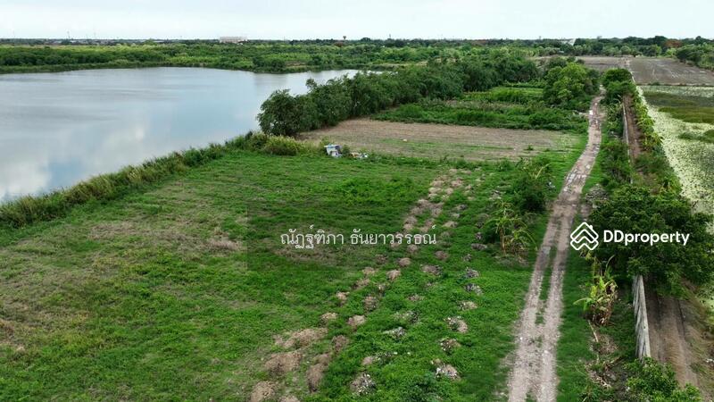 ตำบลสามวาตะวันตก อำเภอมีนบุรี กรุงเทพฯ, กรุงเทพ, มีนบุรี, มีนบุรี, กรุงเทพ, 484,524 ตร.ม., ที่ดิน ขาย, โดย ณัฏฐ์ฑิภา ธันยาวรรธณ์, 11397650 - DDproperty.com