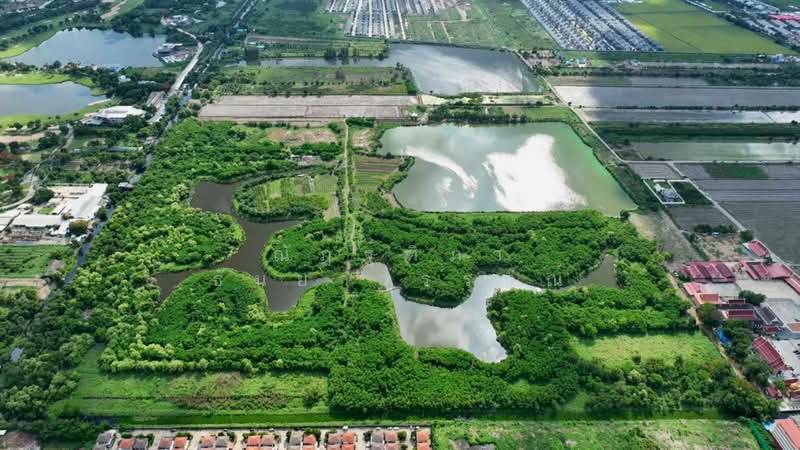 ตำบลสามวาตะวันตก อำเภอมีนบุรี กรุงเทพฯ, Bangkok, Min Buri, Min Buri, Bangkok, , 484,524 sqm, Land For Sale, by Nattipha Thanyawat, 11397650 - DDproperty.com