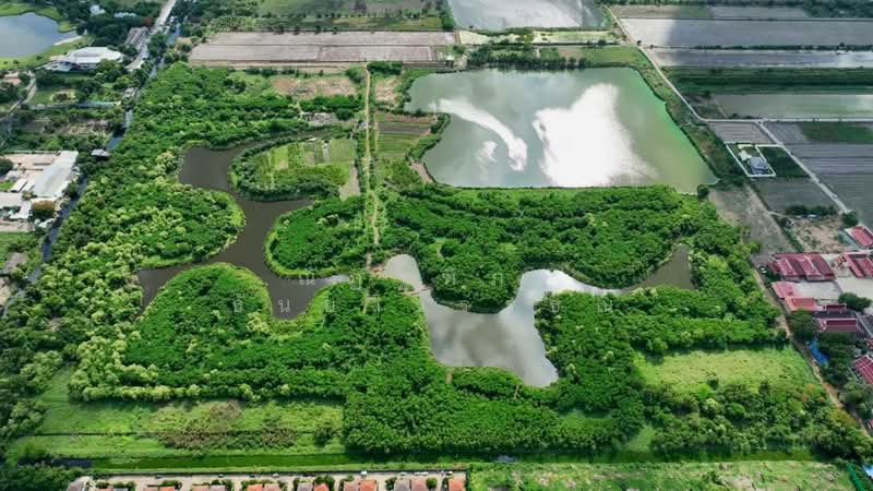 ตำบลสามวาตะวันตก อำเภอมีนบุรี กรุงเทพฯ, Bangkok, Min Buri, Min Buri, Bangkok, , 484,524 sqm, Land For Sale, by Nattipha Thanyawat, 11397650 - DDproperty.com