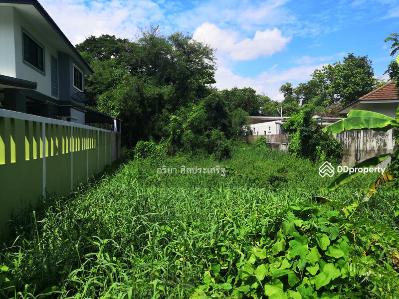 ขาย - ที่ดิน 94 ตร.ว. ในเมืองพิษณุโลก, พิษณุโลก