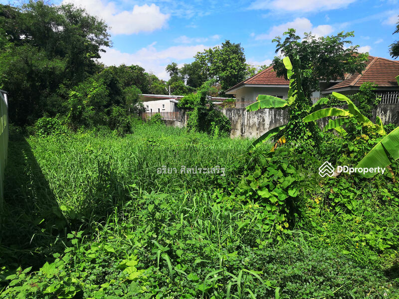 ขาย - ที่ดิน 94 ตร.ว. ในเมืองพิษณุโลก, พิษณุโลก