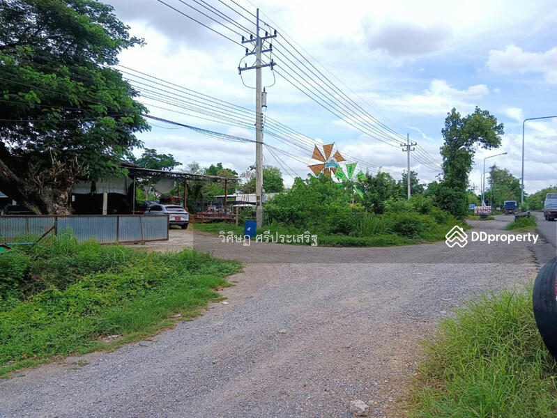 ขาย - -, นครสวรรค์