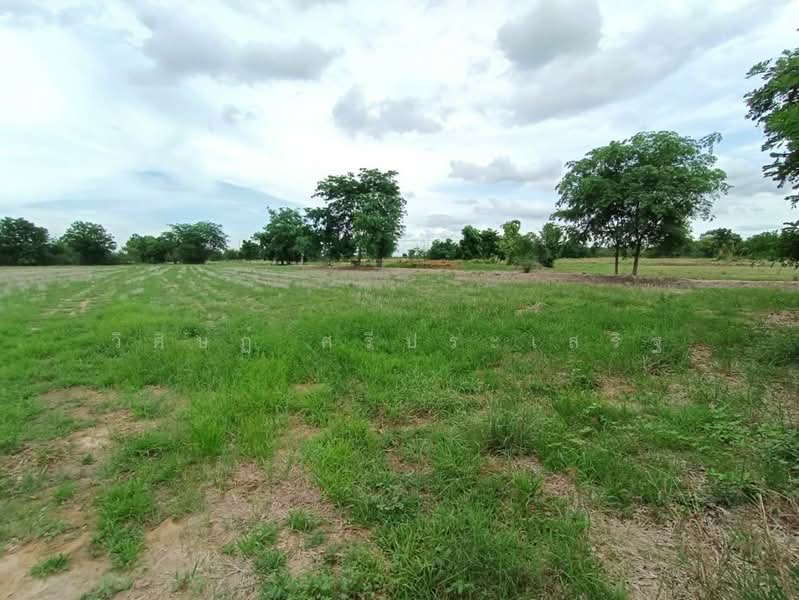 -, Nakhon Sawan, -, Ang Thong, Banphot Phisai, Nakhon Sawan, , 63,788 sqm, Land For Sale, by WISIT SRIPRASERT, 11398599 - DDproperty.com