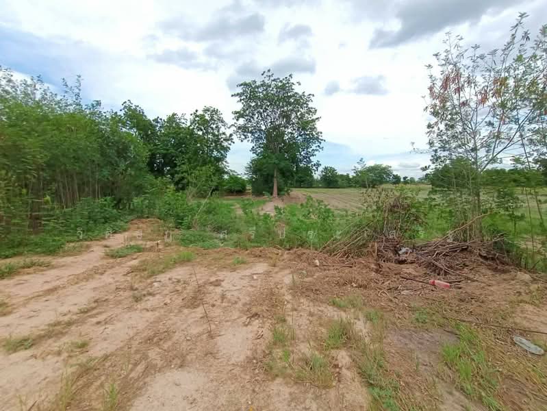 -, Nakhon Sawan, -, Ang Thong, Banphot Phisai, Nakhon Sawan, , 63,788 sqm, Land For Sale, by WISIT SRIPRASERT, 11398599 - DDproperty.com