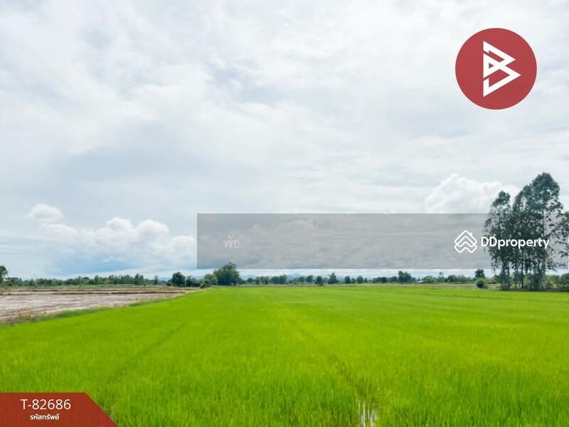 ขาย - ที่ดิน สวรรคโลก สุโขทัย, สุโขทัย