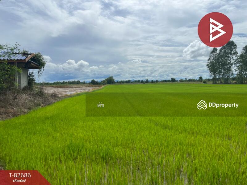ขาย - ที่ดิน สวรรคโลก สุโขทัย, สุโขทัย