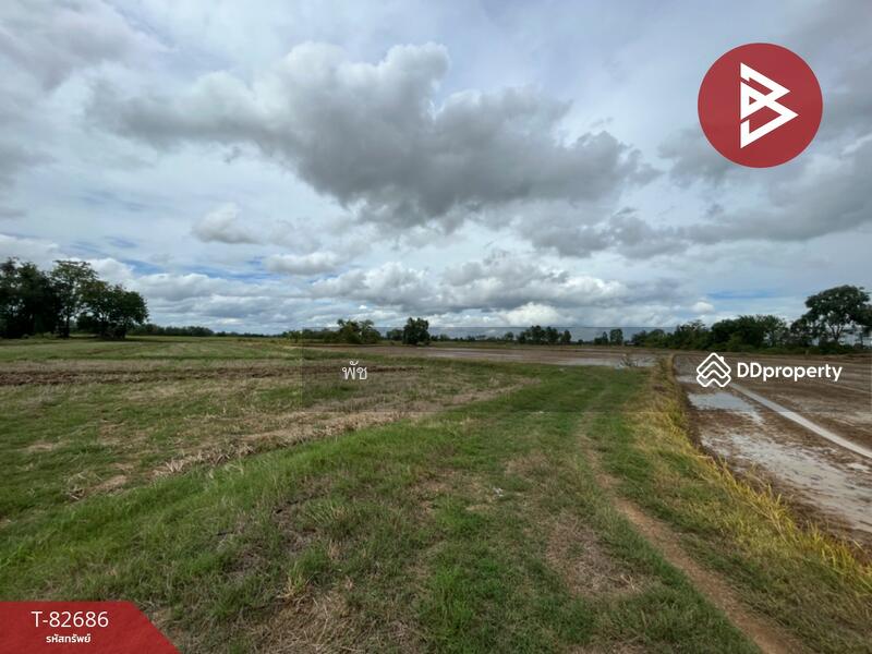 ขาย - ที่ดิน สวรรคโลก สุโขทัย, สุโขทัย