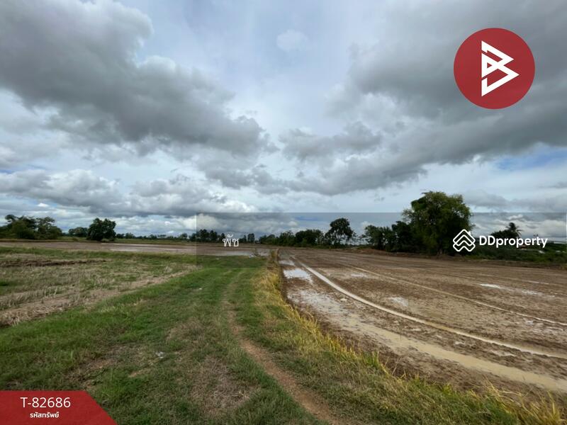 ขาย - ที่ดิน สวรรคโลก สุโขทัย, สุโขทัย