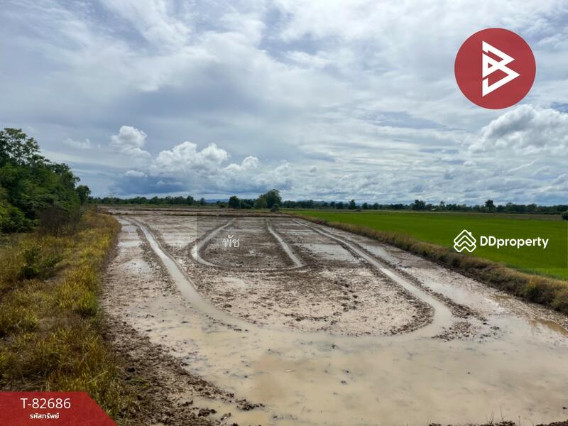 ขาย - ที่ดิน สวรรคโลก สุโขทัย, สุโขทัย