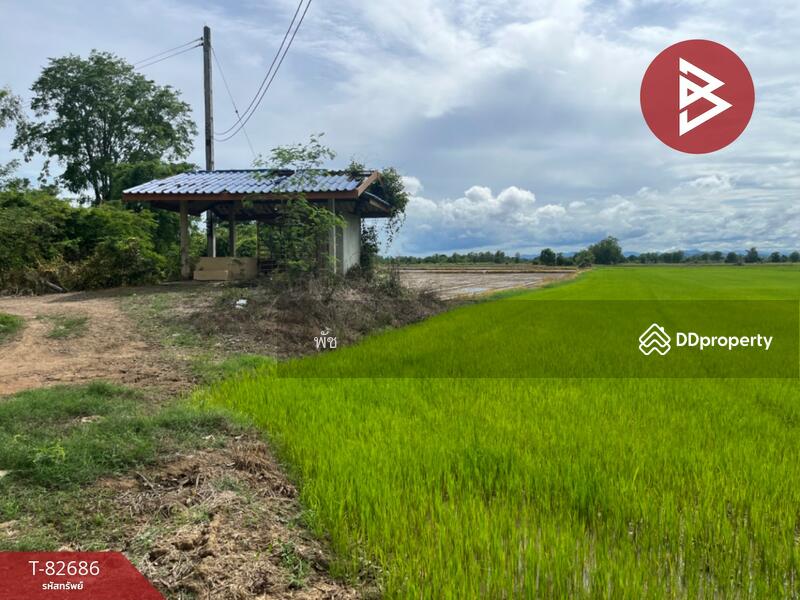 ขาย - ที่ดิน สวรรคโลก สุโขทัย, สุโขทัย