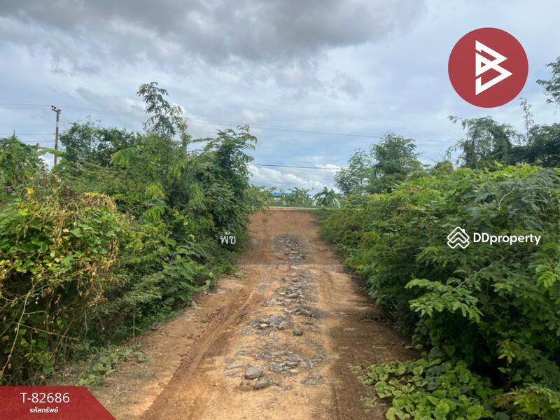 ขาย - ที่ดิน สวรรคโลก สุโขทัย, สุโขทัย