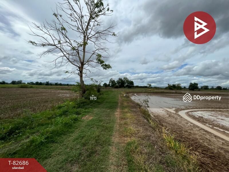 ขาย - ที่ดิน สวรรคโลก สุโขทัย, สุโขทัย