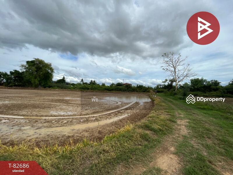 ขาย - ที่ดิน สวรรคโลก สุโขทัย, สุโขทัย