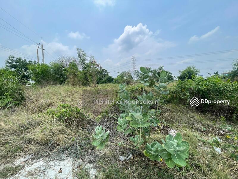 ที่ดิน 1ไร่ 67 ตรว. วังจุฬา อำเภอวังน้อย จังหวัดพระนครศรีอยุธยา, Phra Nakhon Si Ayutthaya, Wang Chula, Wang Noi, Phra Nakhon Si Ayutthaya, , 1,868 sqm, Land For Sale, by Pichitchai Kaensaksiri, 11398925 - DDproperty.com