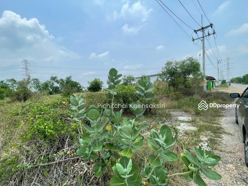 ที่ดิน 1ไร่ 67 ตรว. วังจุฬา อำเภอวังน้อย จังหวัดพระนครศรีอยุธยา, Phra Nakhon Si Ayutthaya, Wang Chula, Wang Noi, Phra Nakhon Si Ayutthaya, , 1,868 sqm, Land For Sale, by Pichitchai Kaensaksiri, 11398925 - DDproperty.com