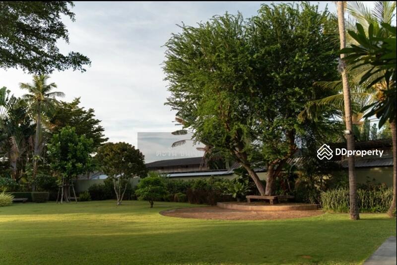 House for sale with land next to the sea, private beach, Mueang Prachuap Khiri Khan District., Prachuap Khiri Khan, เลียบหาด, Prachuapkhilikhan, Muang Prachaubkirikhan, Prachuap Khiri Khan, 6 Bedrooms, 650 sqm, Single Detached House For Sale, by ตะวัน ขันเงิน, 11398960 - DDproperty.com