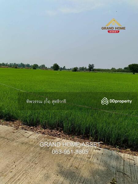 ขาย - ที่ดินเปล่า ใกล้วัดบึงลึ, พิจิตร