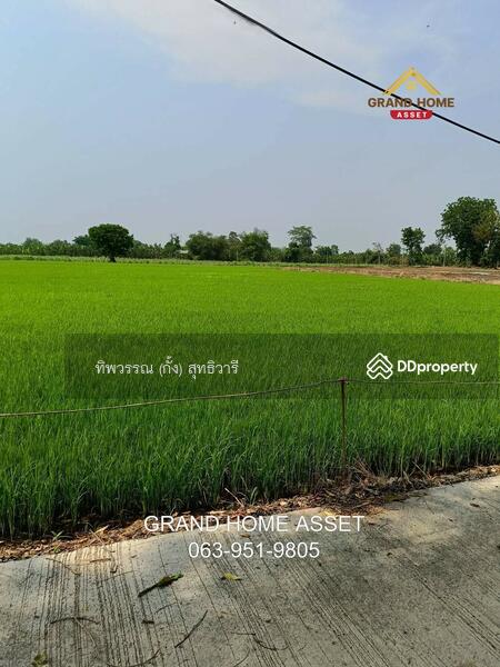 ขาย - ที่ดินเปล่า ใกล้วัดบึงลึ, พิจิตร