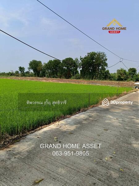 ขาย - ที่ดินเปล่า ใกล้วัดบึงลึ, พิจิตร