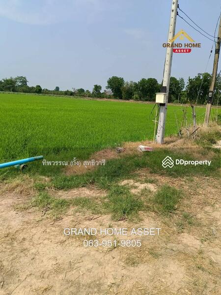 ขาย - ที่ดินเปล่า ใกล้วัดบึงลึ, พิจิตร