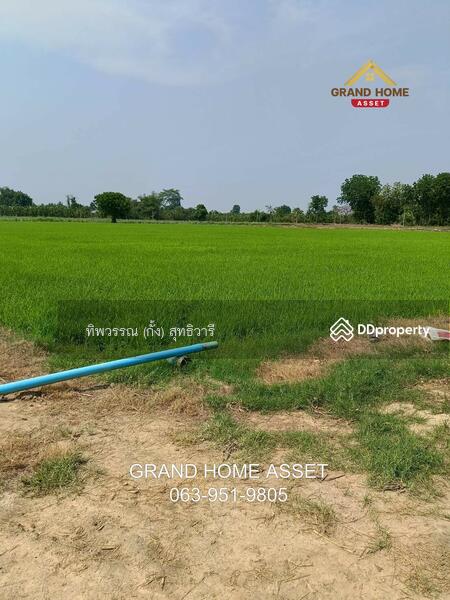ขาย - ที่ดินเปล่า ใกล้วัดบึงลึ, พิจิตร